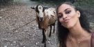 Zašto nije mudro raditi selfie s kozom? [video]