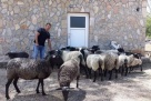 Ljubušak Josip Majetić o životu od poljoprivrede i stočarstva